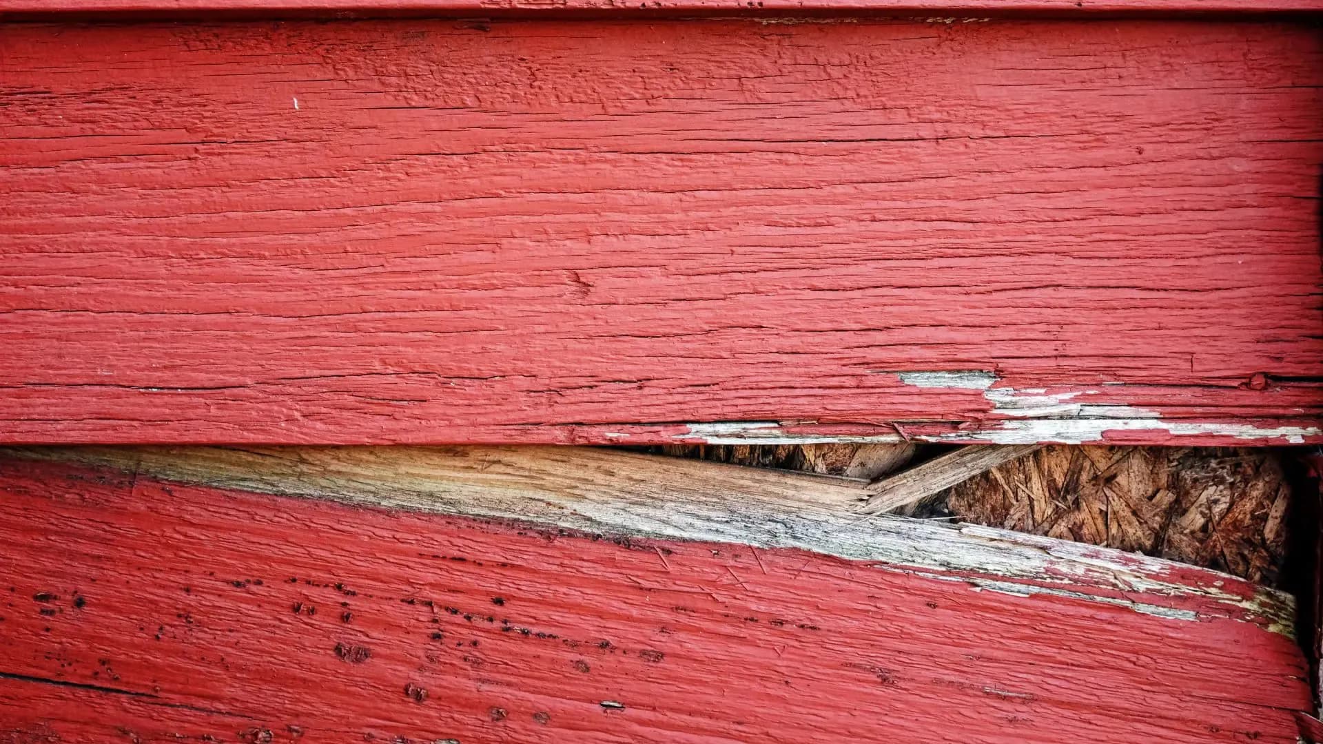 how-can-quality-siding-defend-your-home-from-wood-rot-01.webp